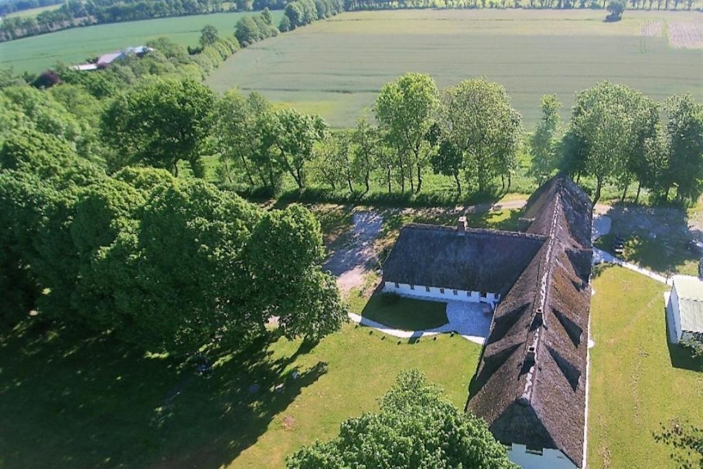 Ehemaliges Rio Reiser Haus Stadum Eksteriør bilde